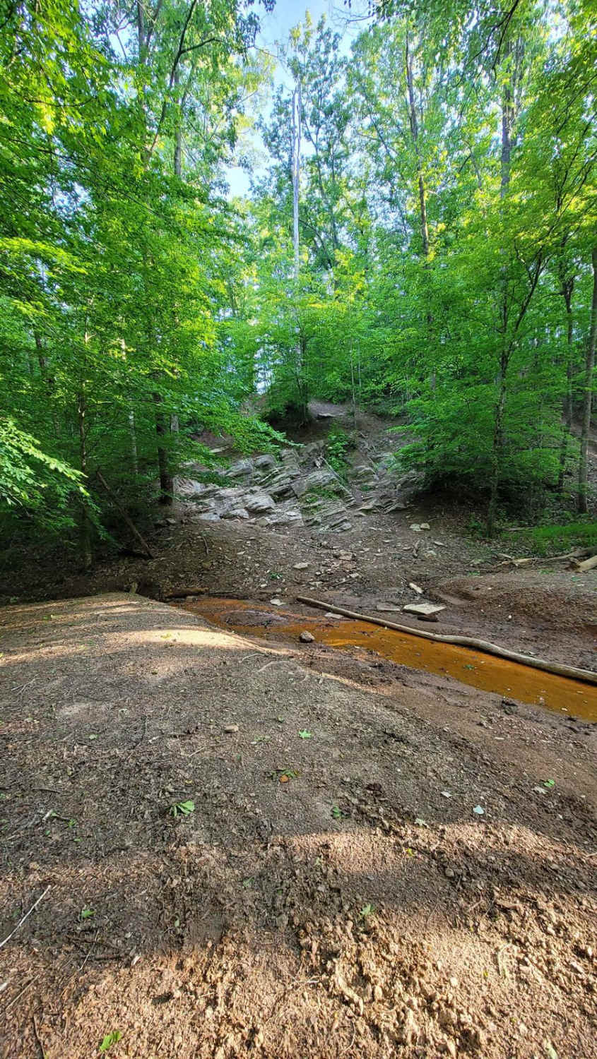 Loop Springs