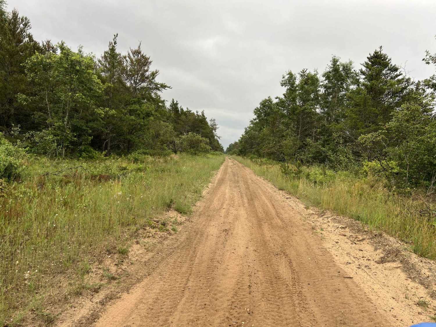 Eastwood Trail