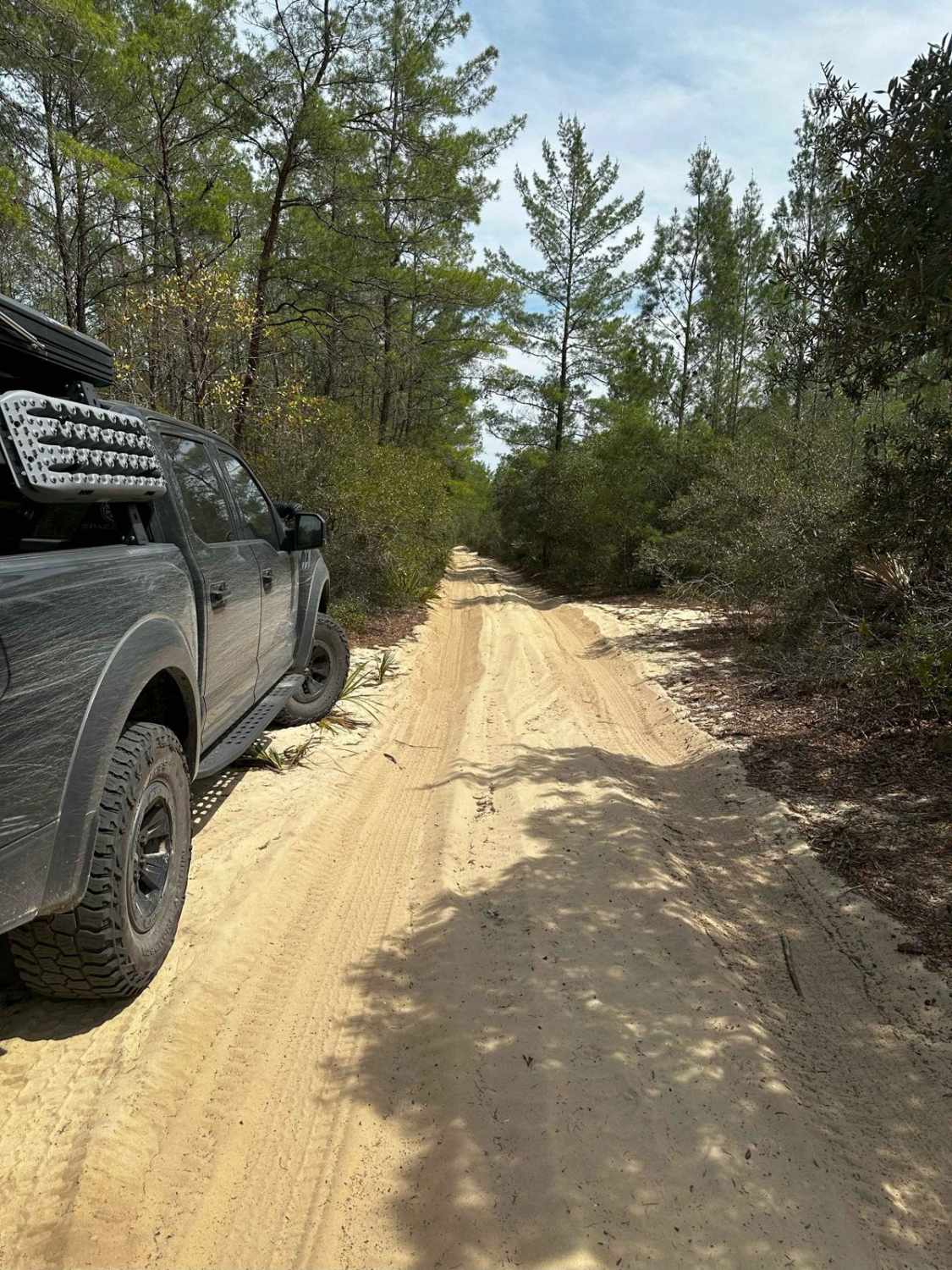 ONF Trail 17-2.6