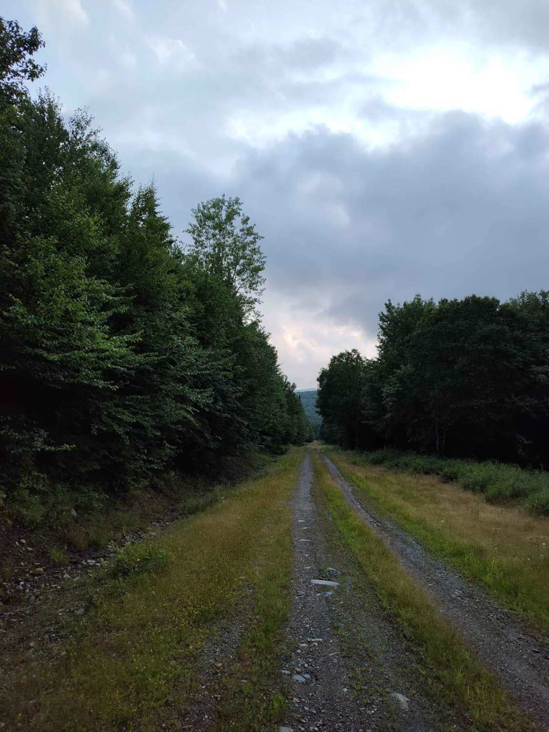 Meadow Brook Rd to Hawk Road 