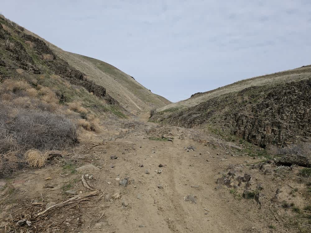 Tumbleweed Ravine