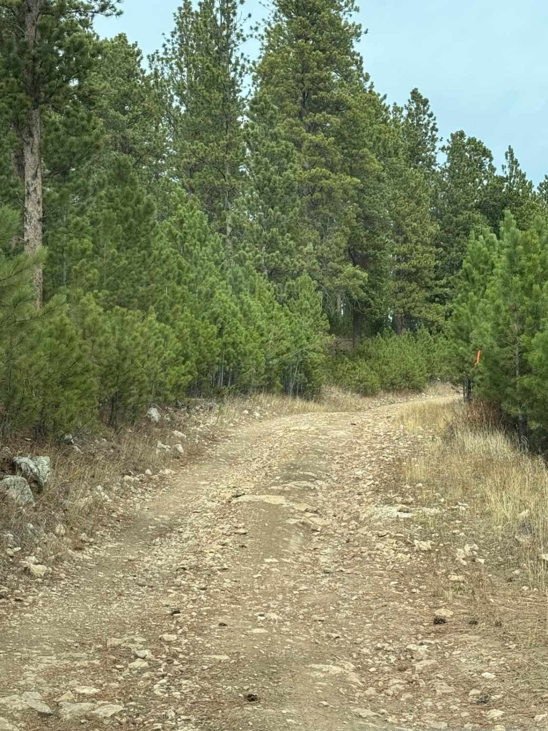 Castle Rock & Nipple Butte Circular