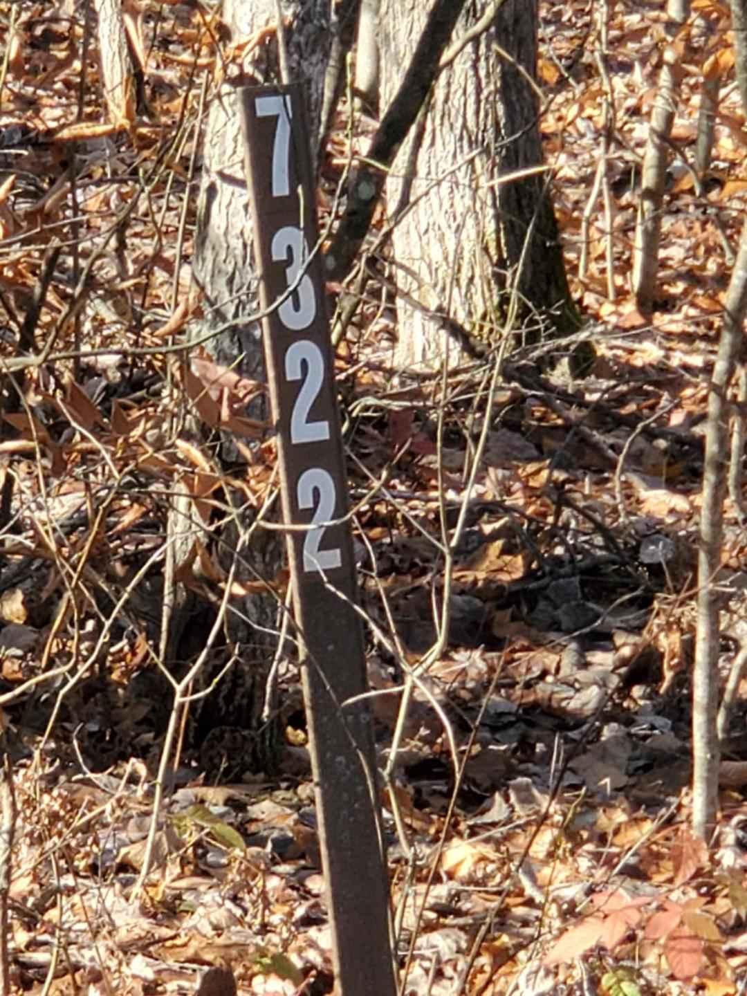 Trail 7322