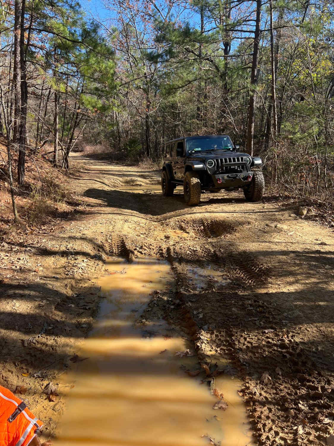 Sycamore Creek