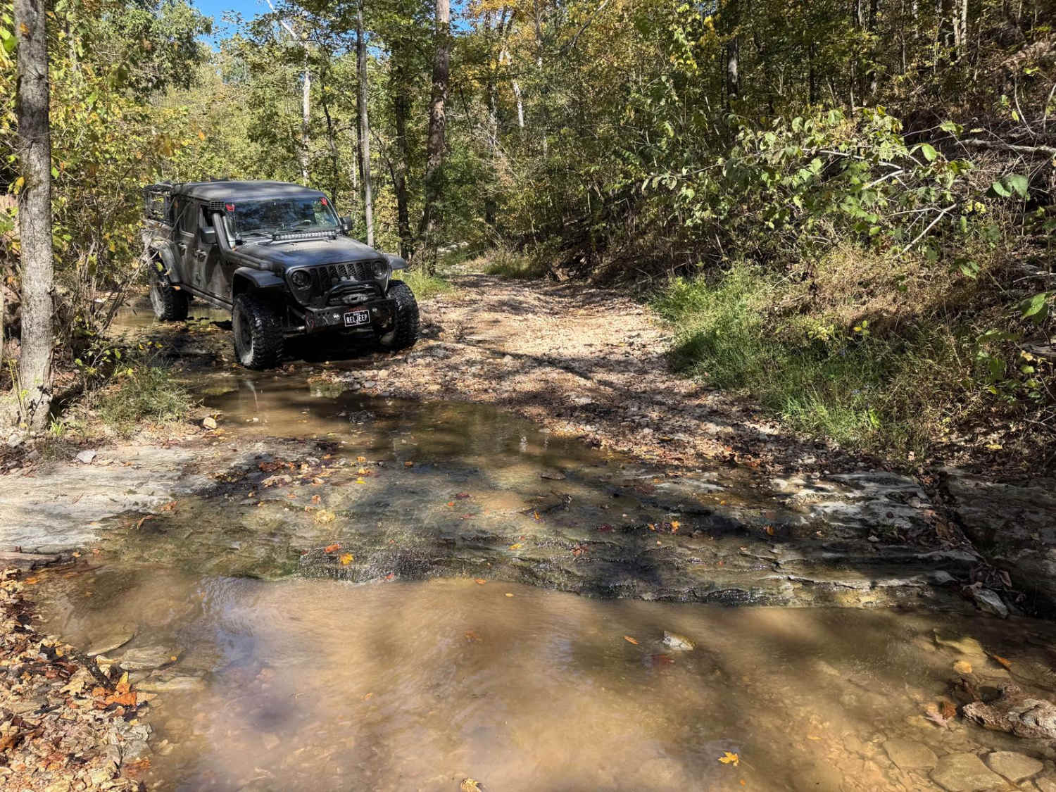 Crawler Alley 23