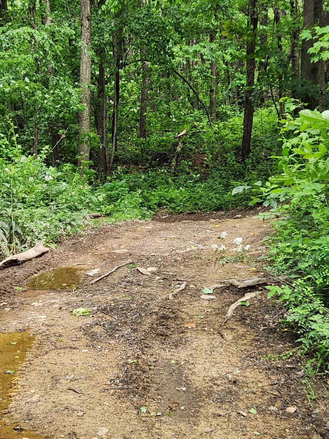 Trail 3 - Green - Rock Run Recreation Area