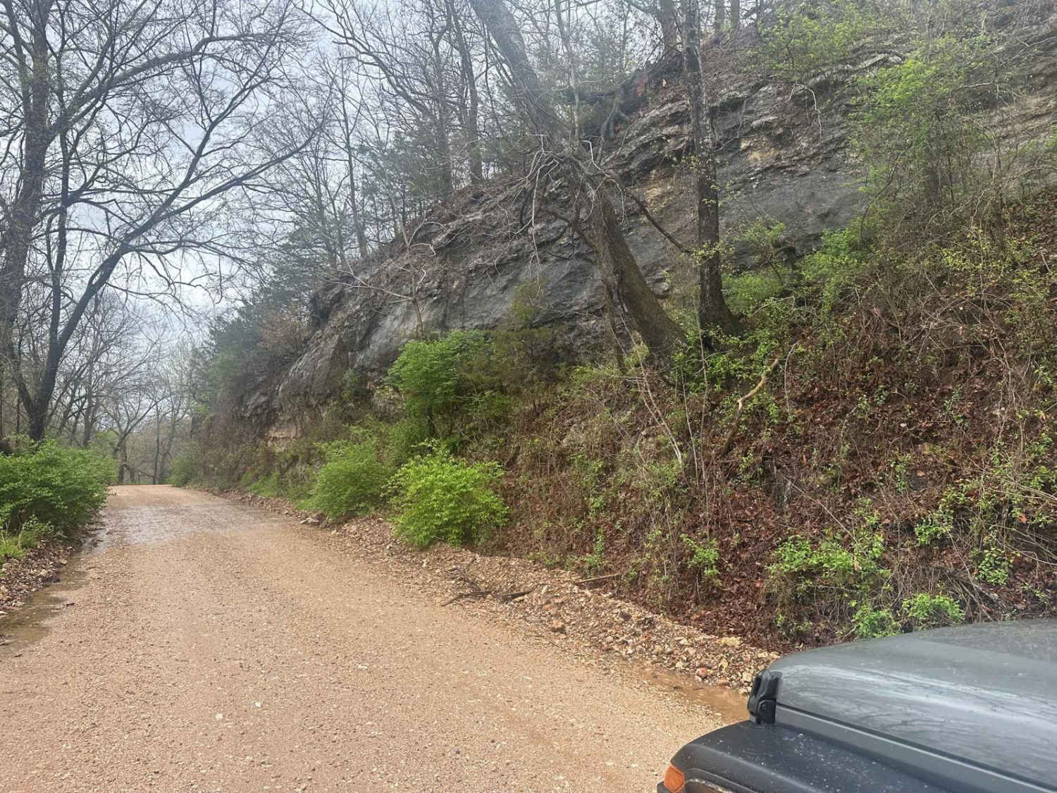 Bluff Run