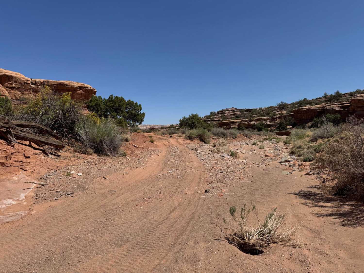 Dry Fork Bull Canyon