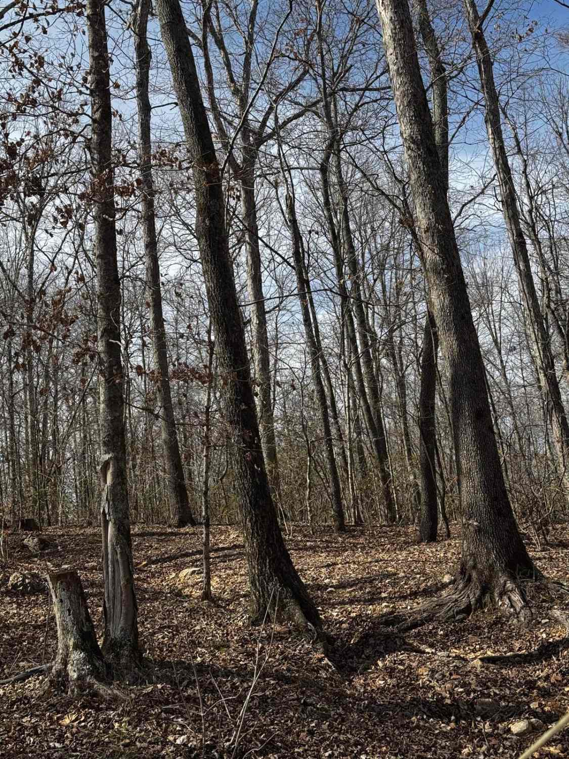 Hillside Trail