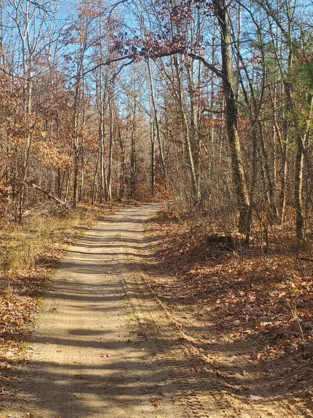 Trail 5578