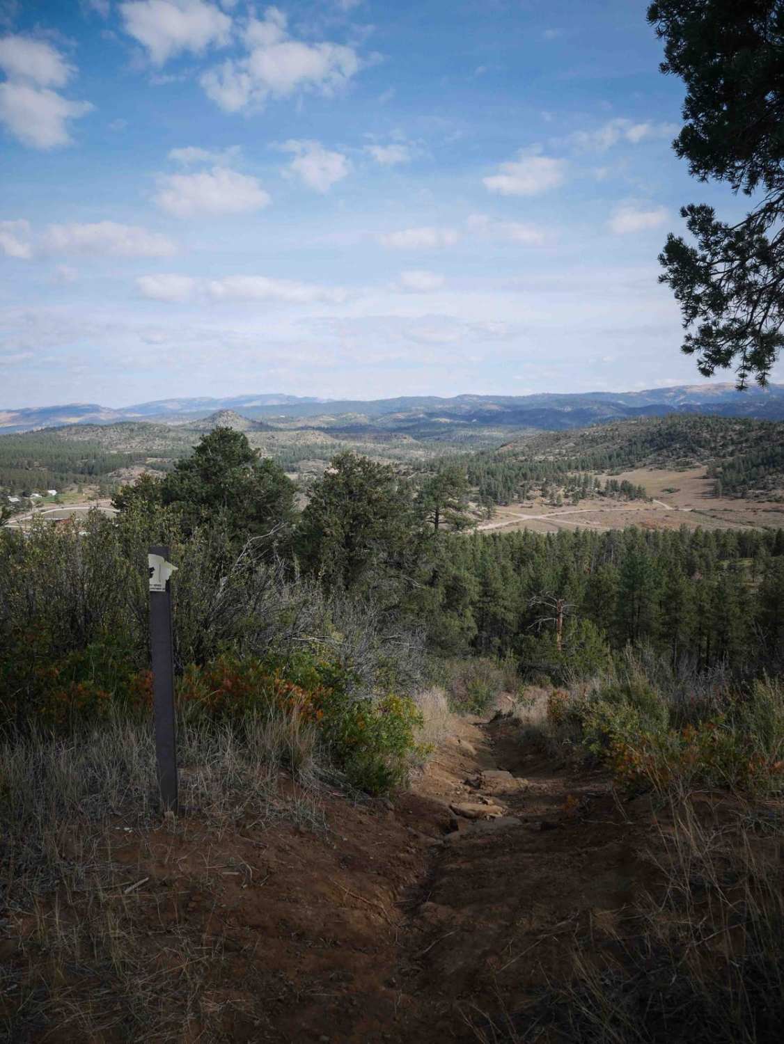 Ridge