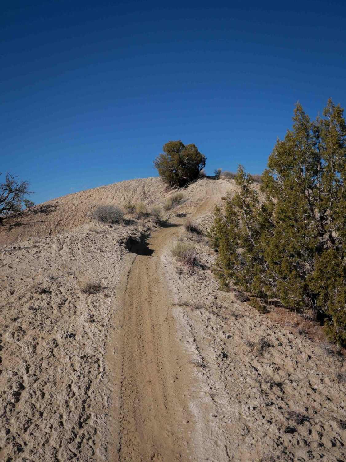 Mini Ridge Singletrack 