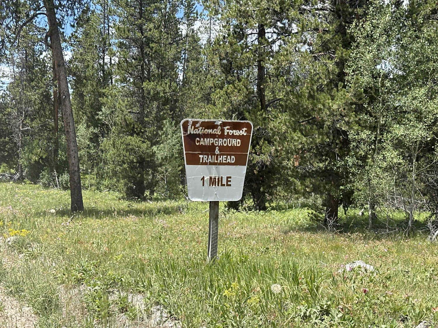 Fourmile Meadow