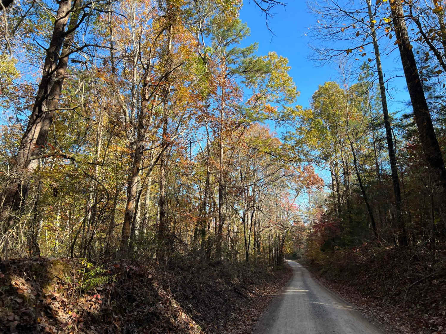 Beulah Road - FS 202 