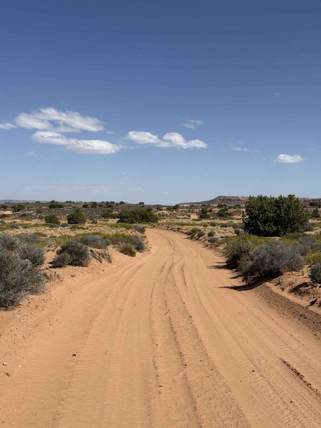 Orange Cliffs Trail