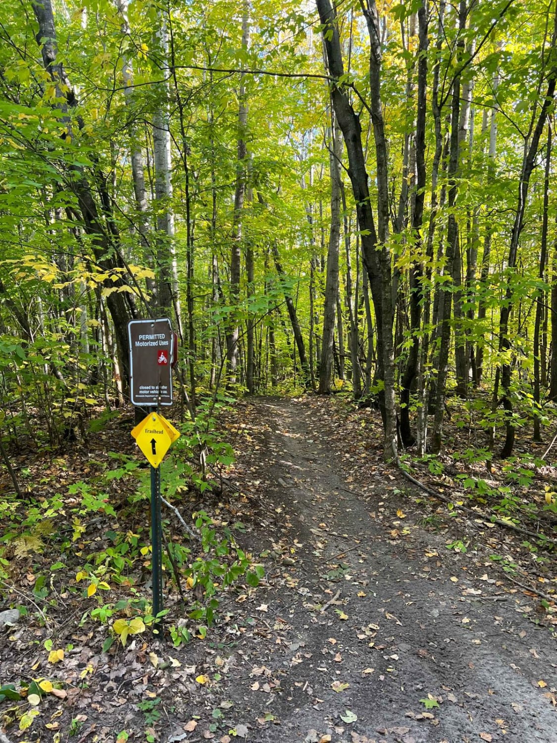 Paul Bunyan's Overgrown ATV Trail
