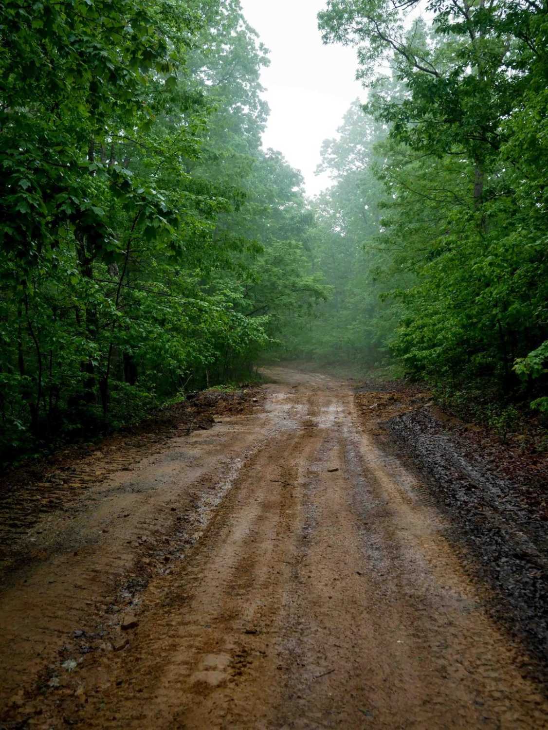 IB 12 West Virginia GPS Trail - 626220c7 31d8 456a Ab90 Bc69fe28dc16