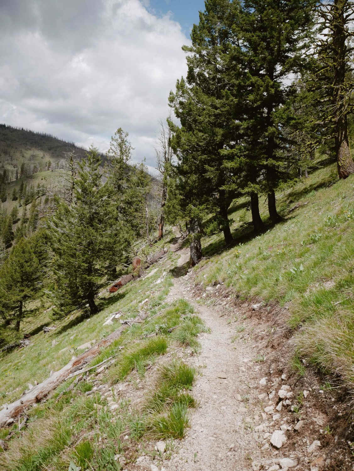 Continental Divide NST 