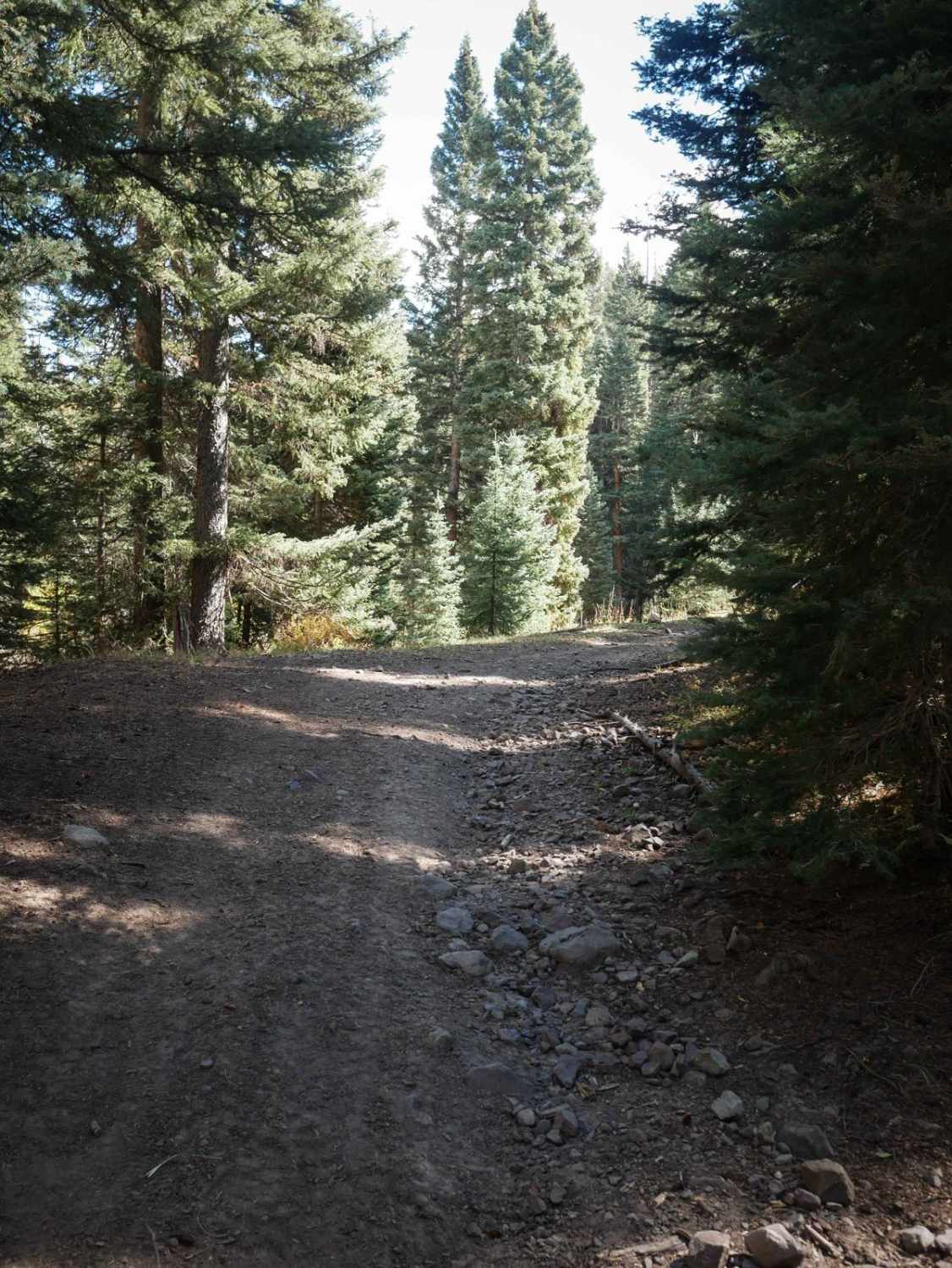 B Spur