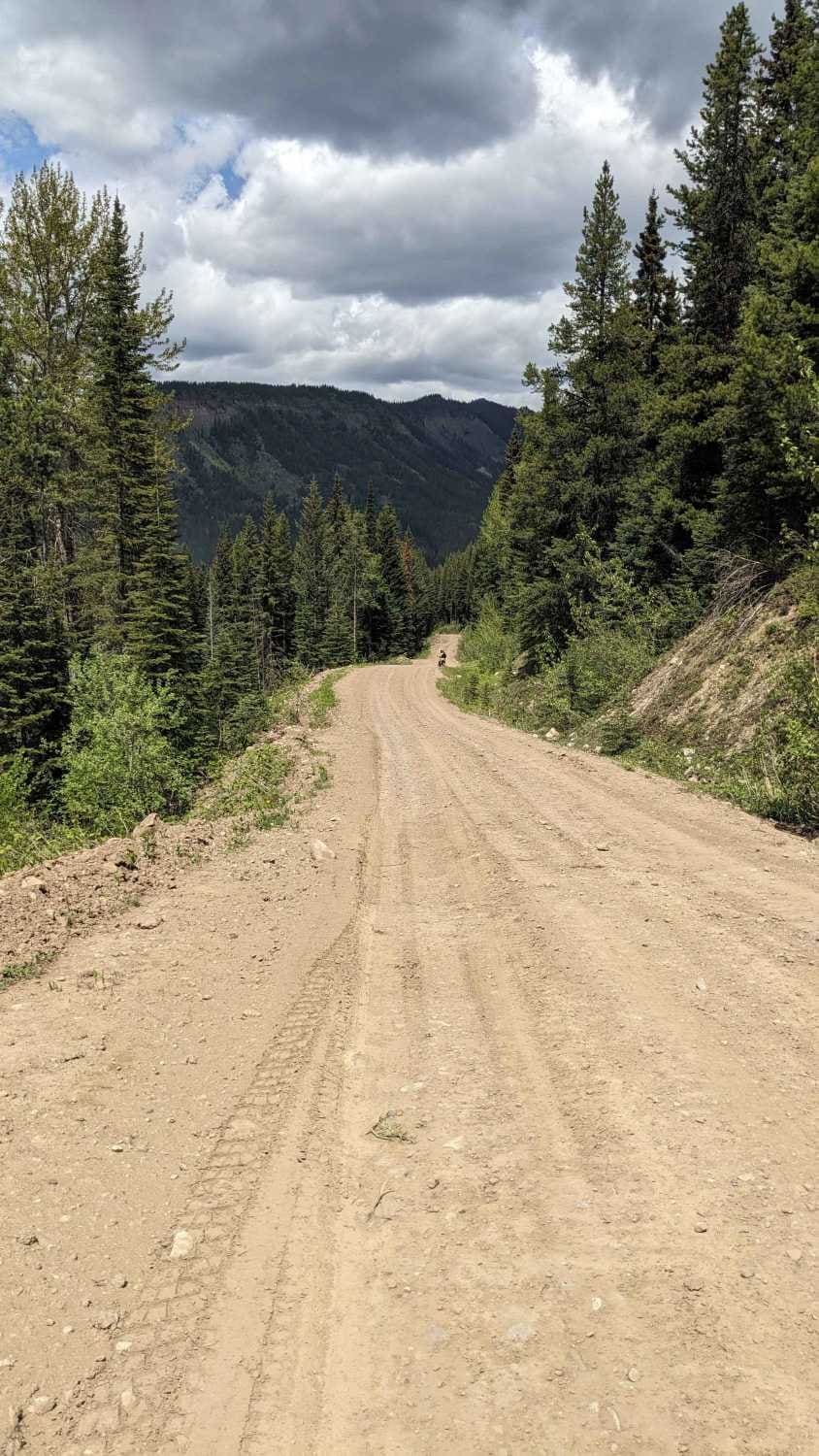 Alexander Creek Forestry Road