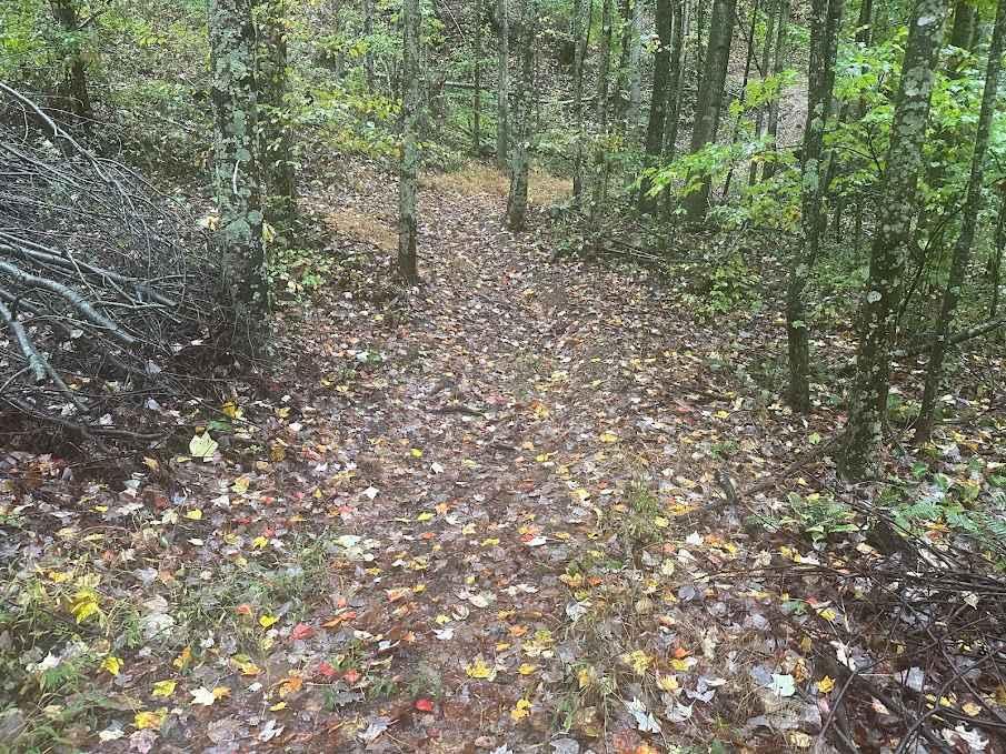189 Single Track