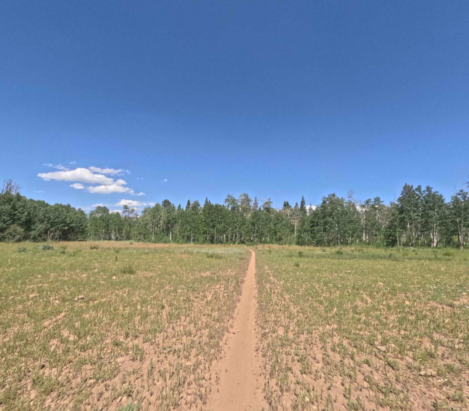 Jones Ranch South - FS 8123