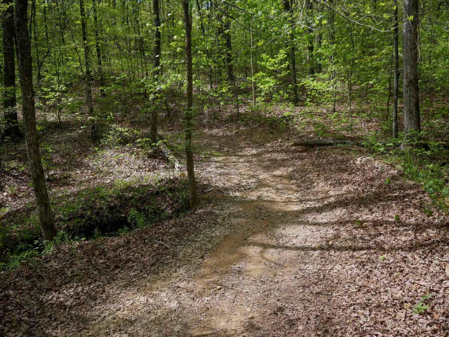 Gordon Springs Connector