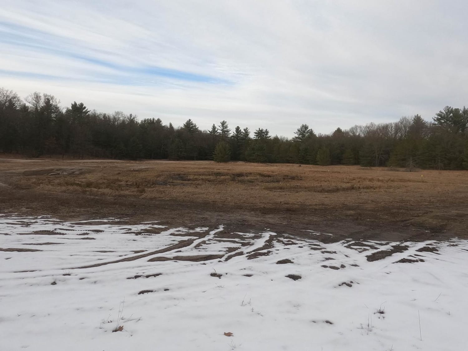 Dalson Road between Brunswick and Raymond Roads