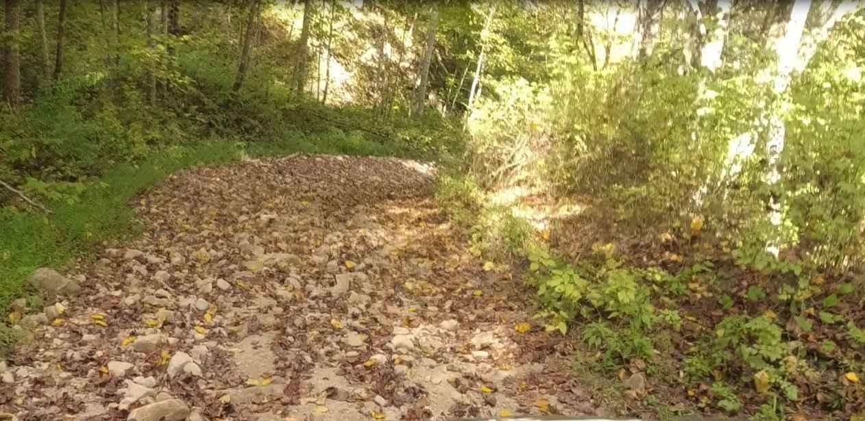 Martiki Trail