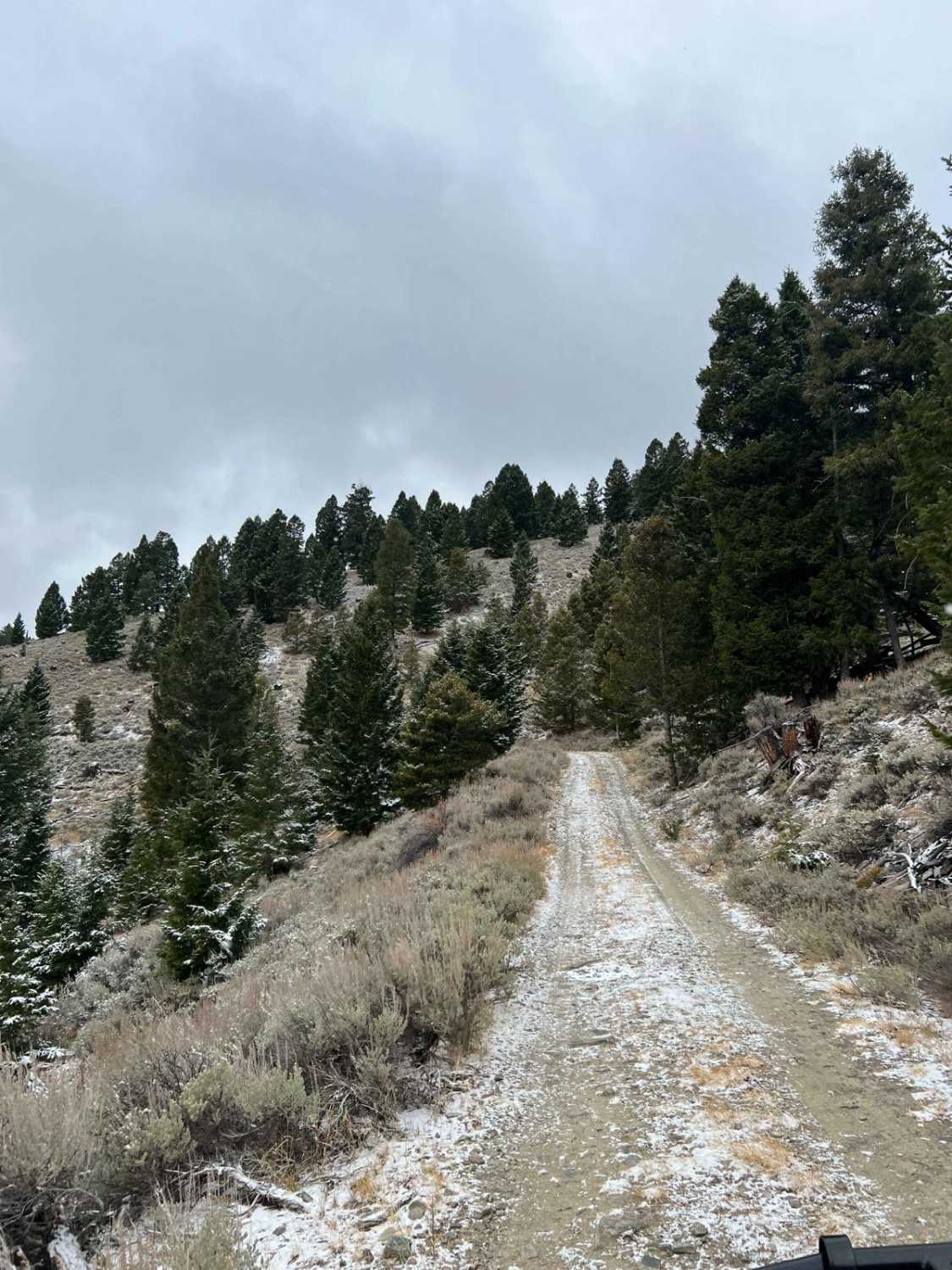 Ridge Runner 