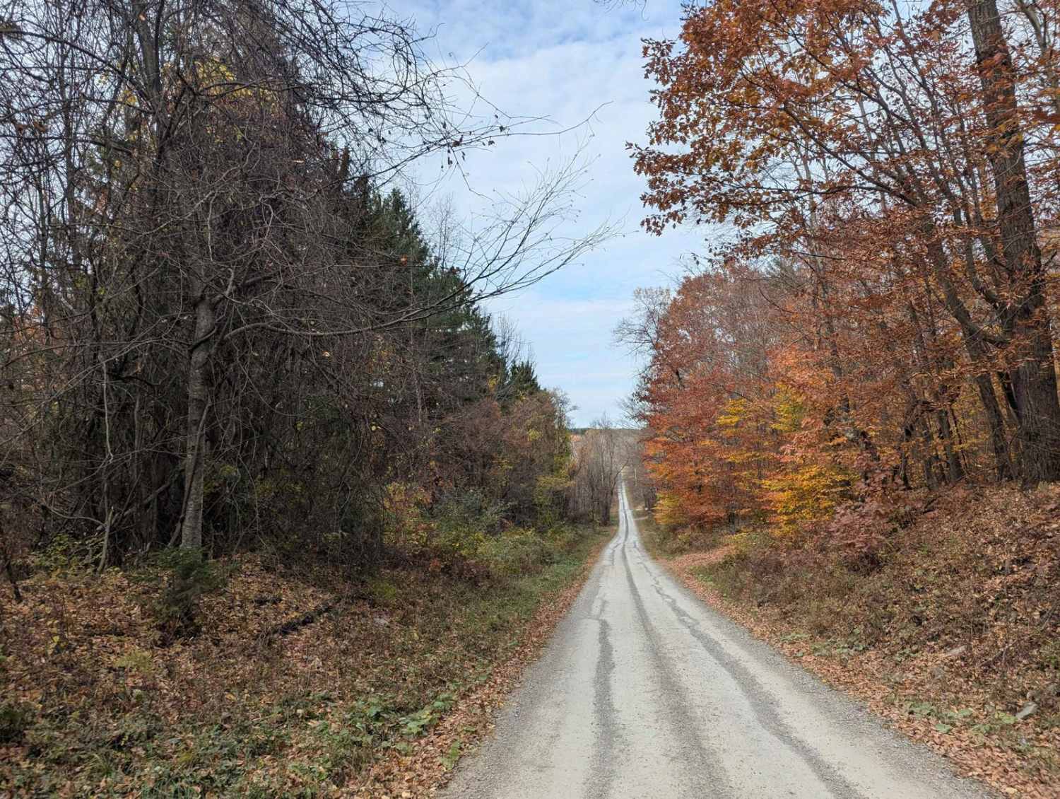 Irish Hill Road