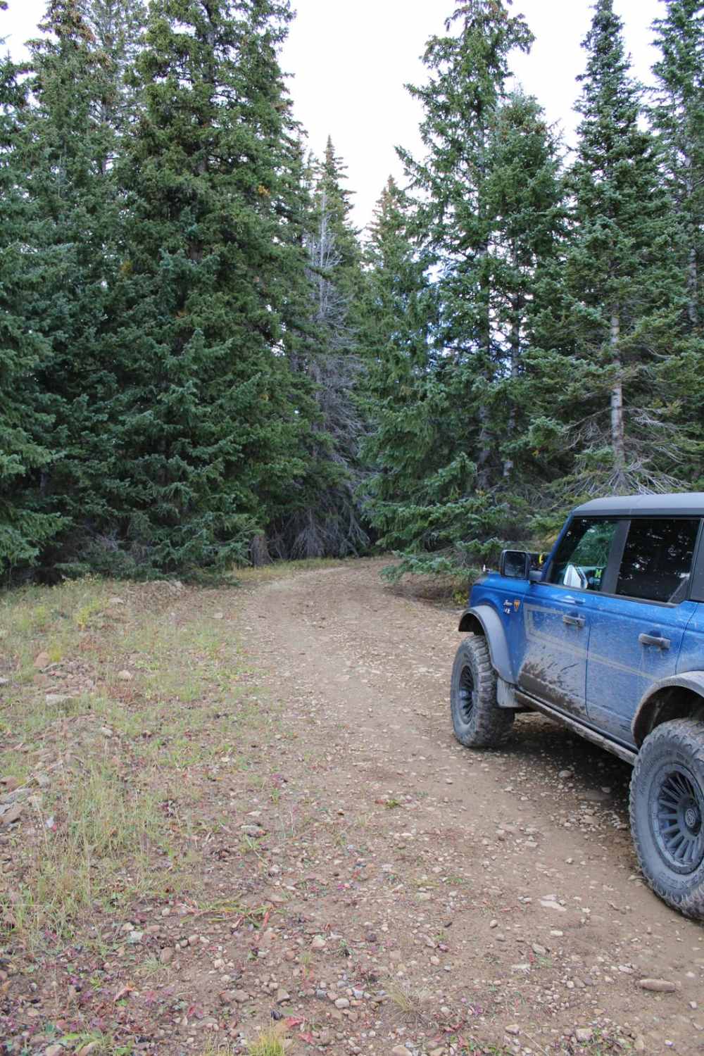 Beaver Creek Loop