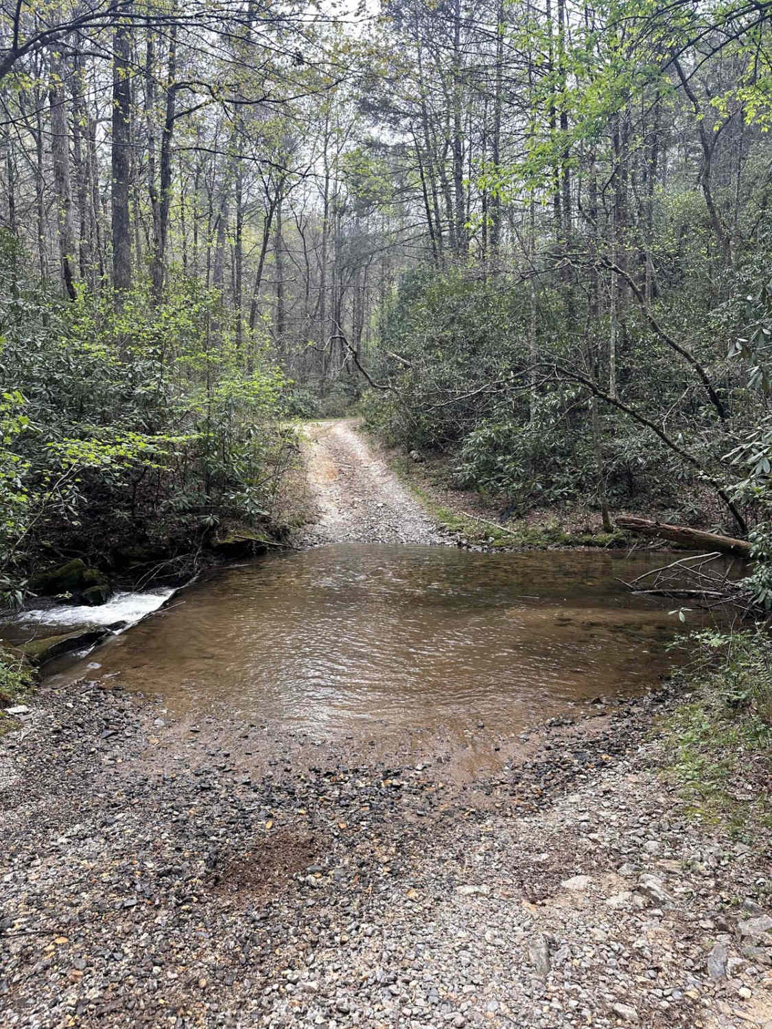 Knight Creek - FS 264A