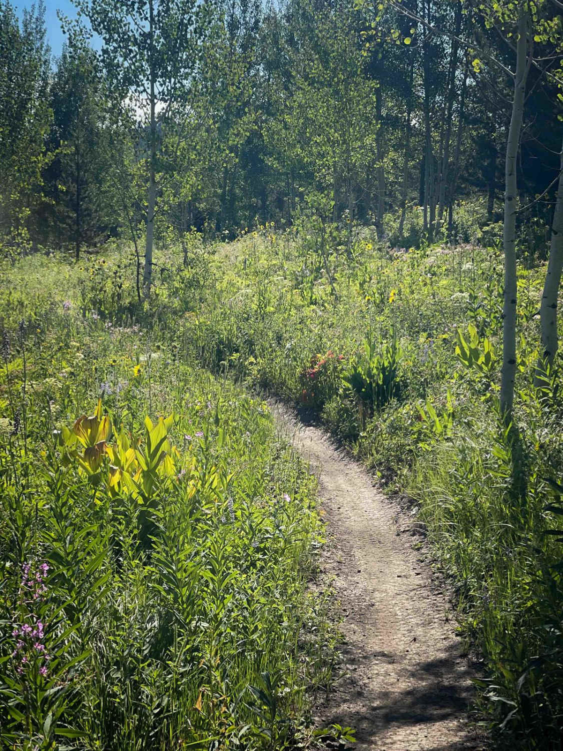 Kickstart (Kid's Loop)