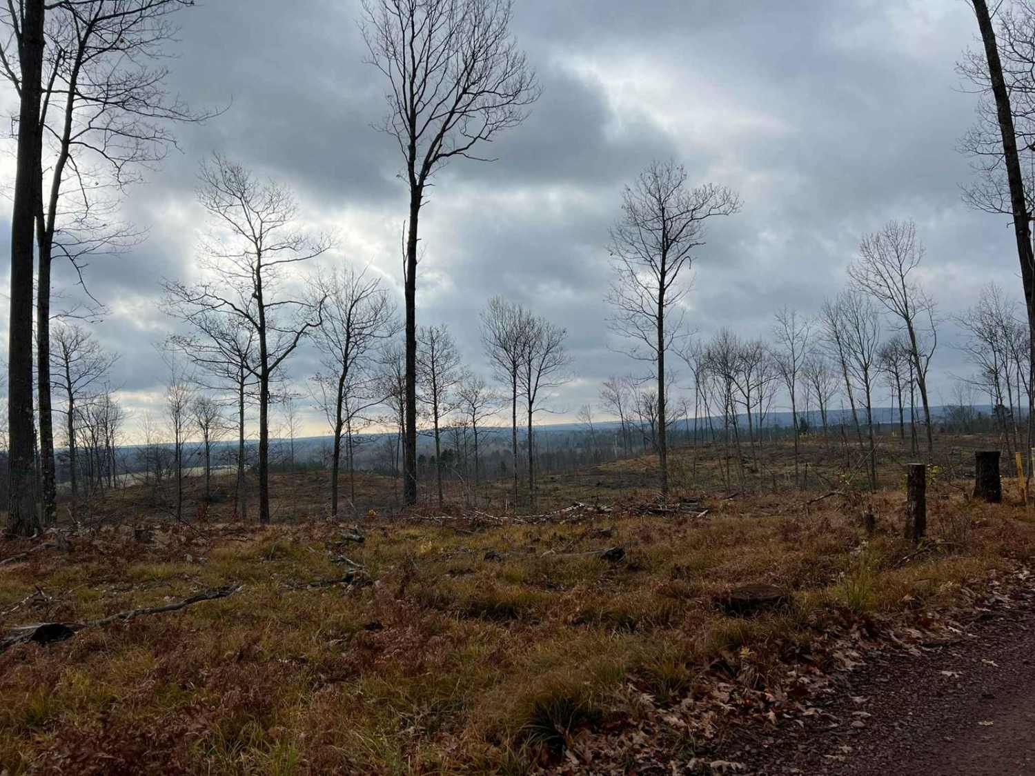 Florence County F6 Mark Peters Memorial Trail