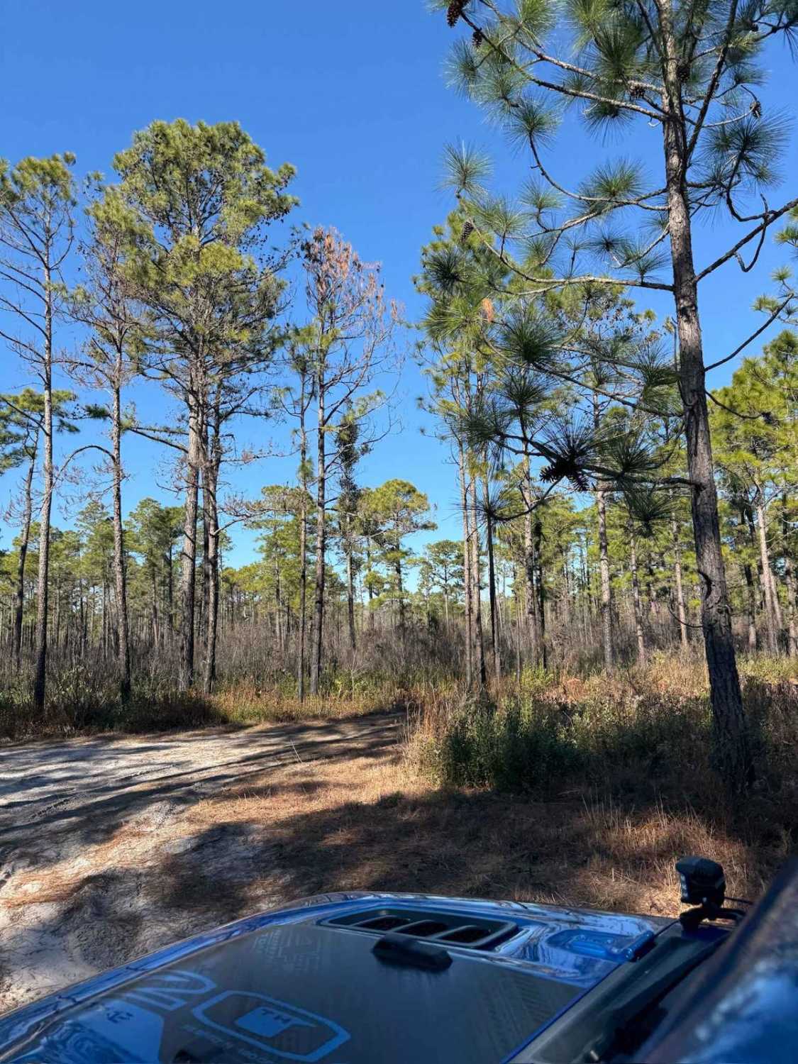 Pettiford Creek Trail 1