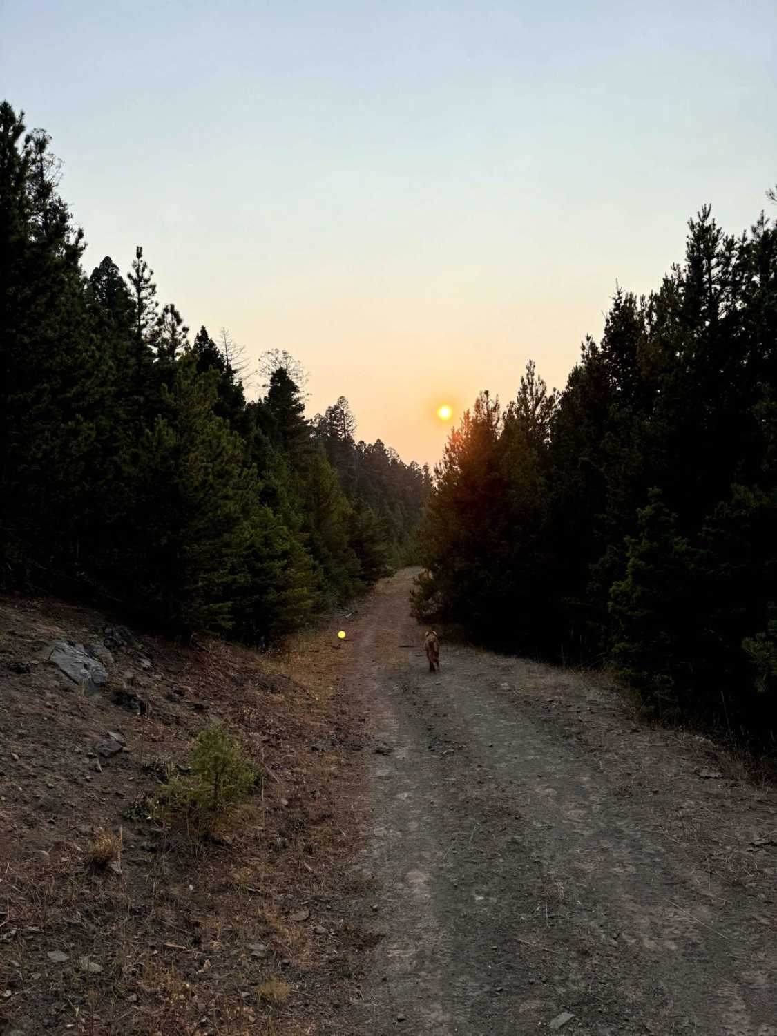 TV Tower/ Slate Creek Road