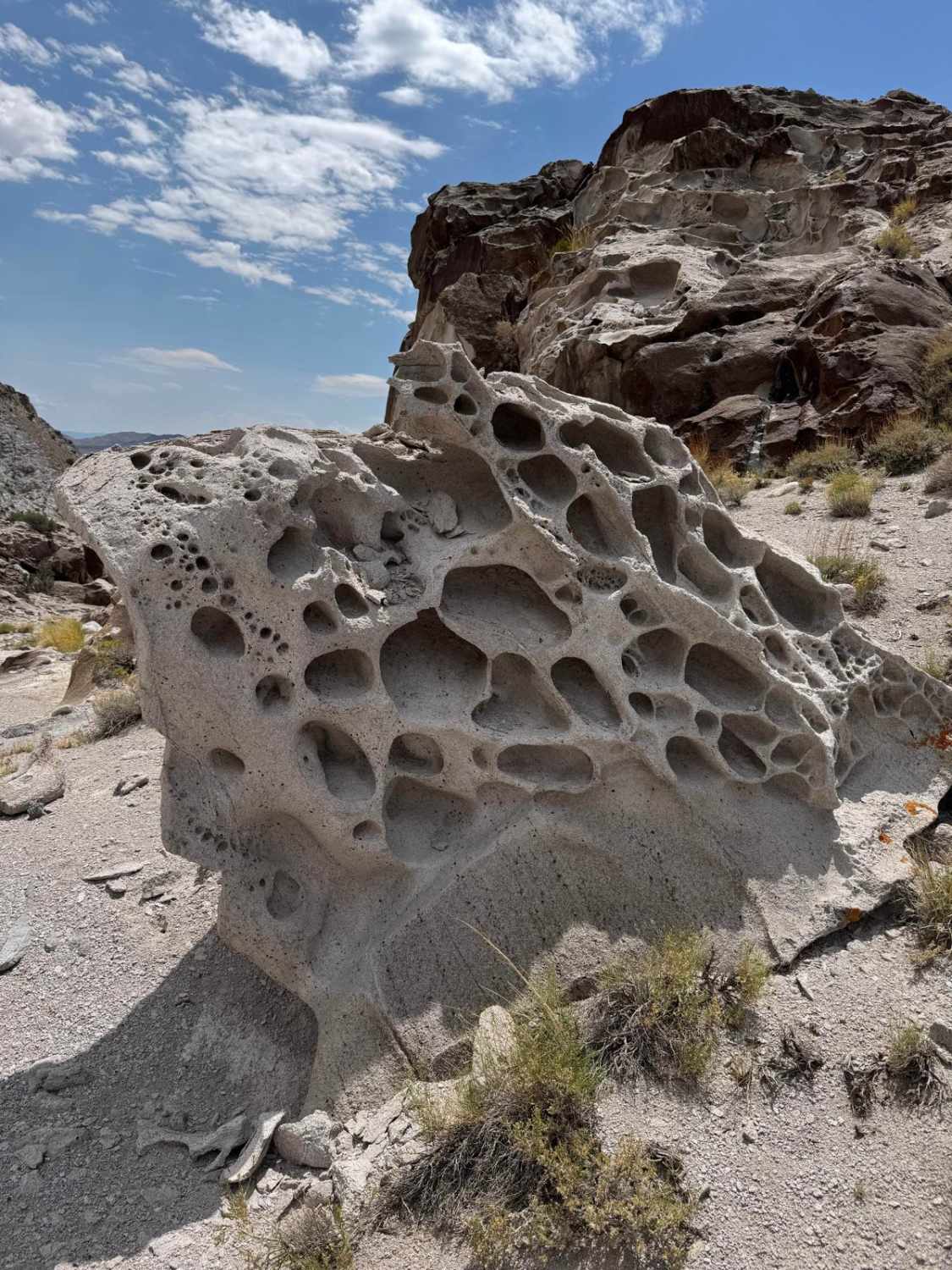 Honeycomb Loop