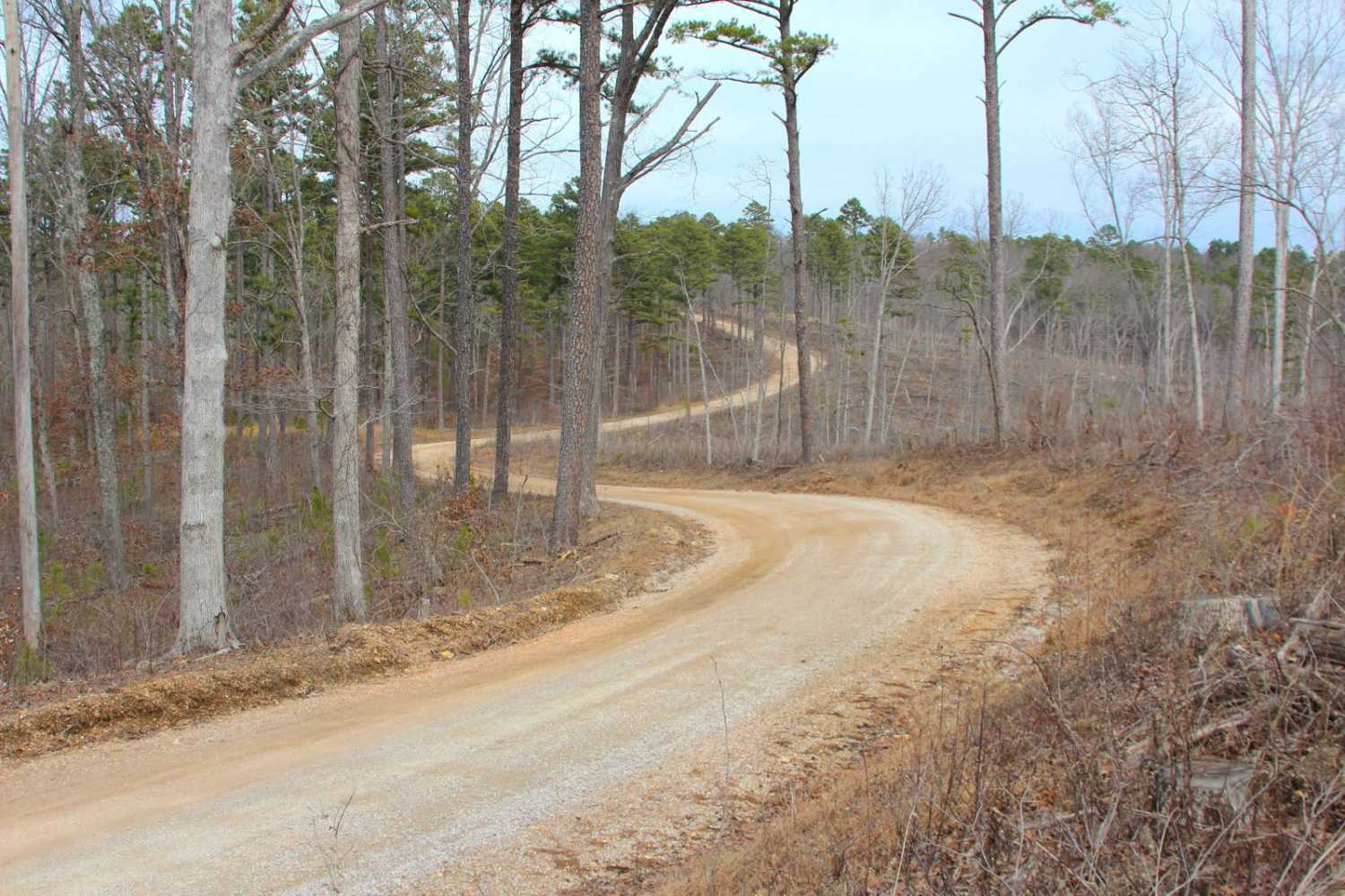 Pigeon Roost Road - WCR 603