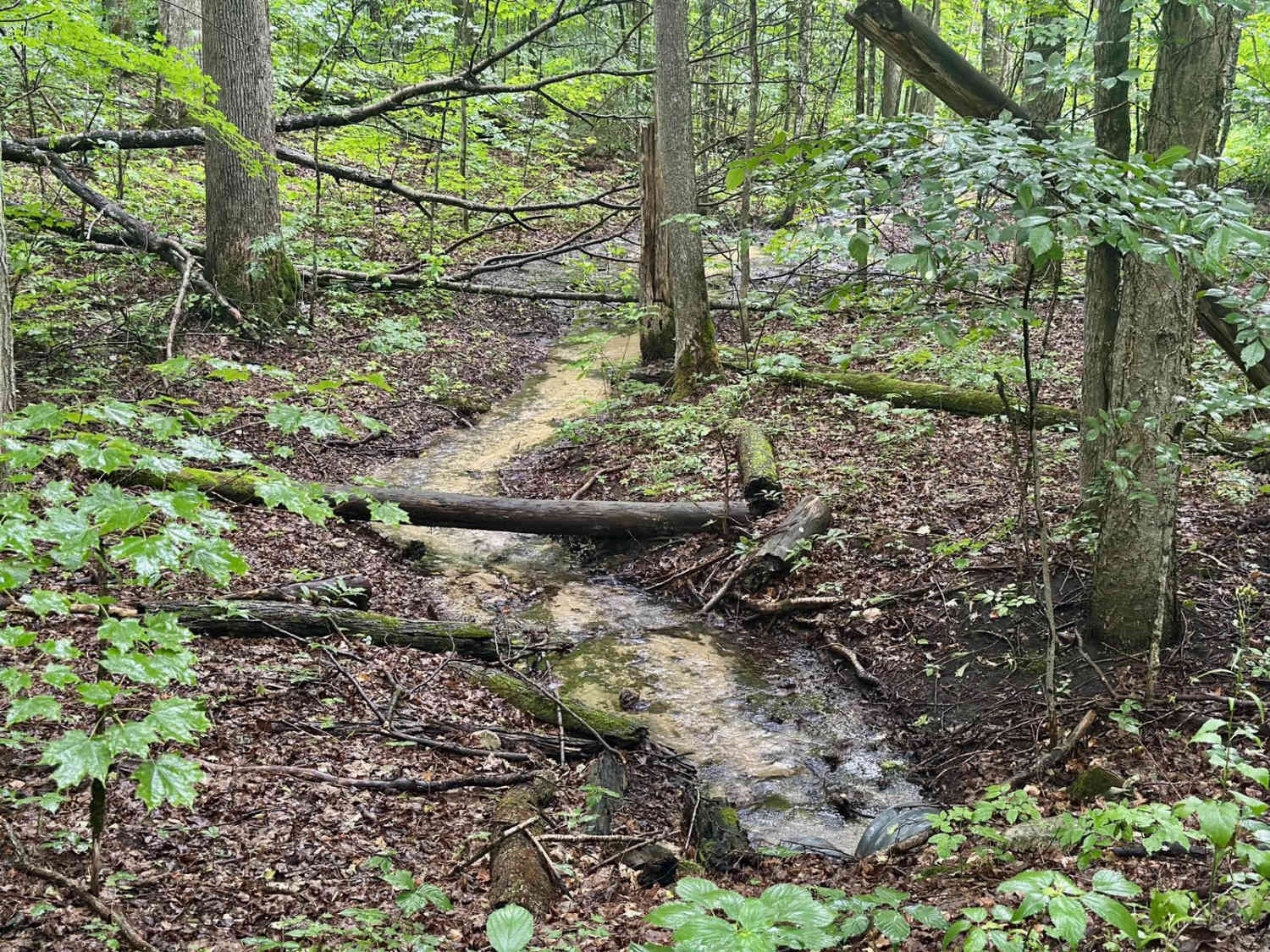 South Jordan River Road