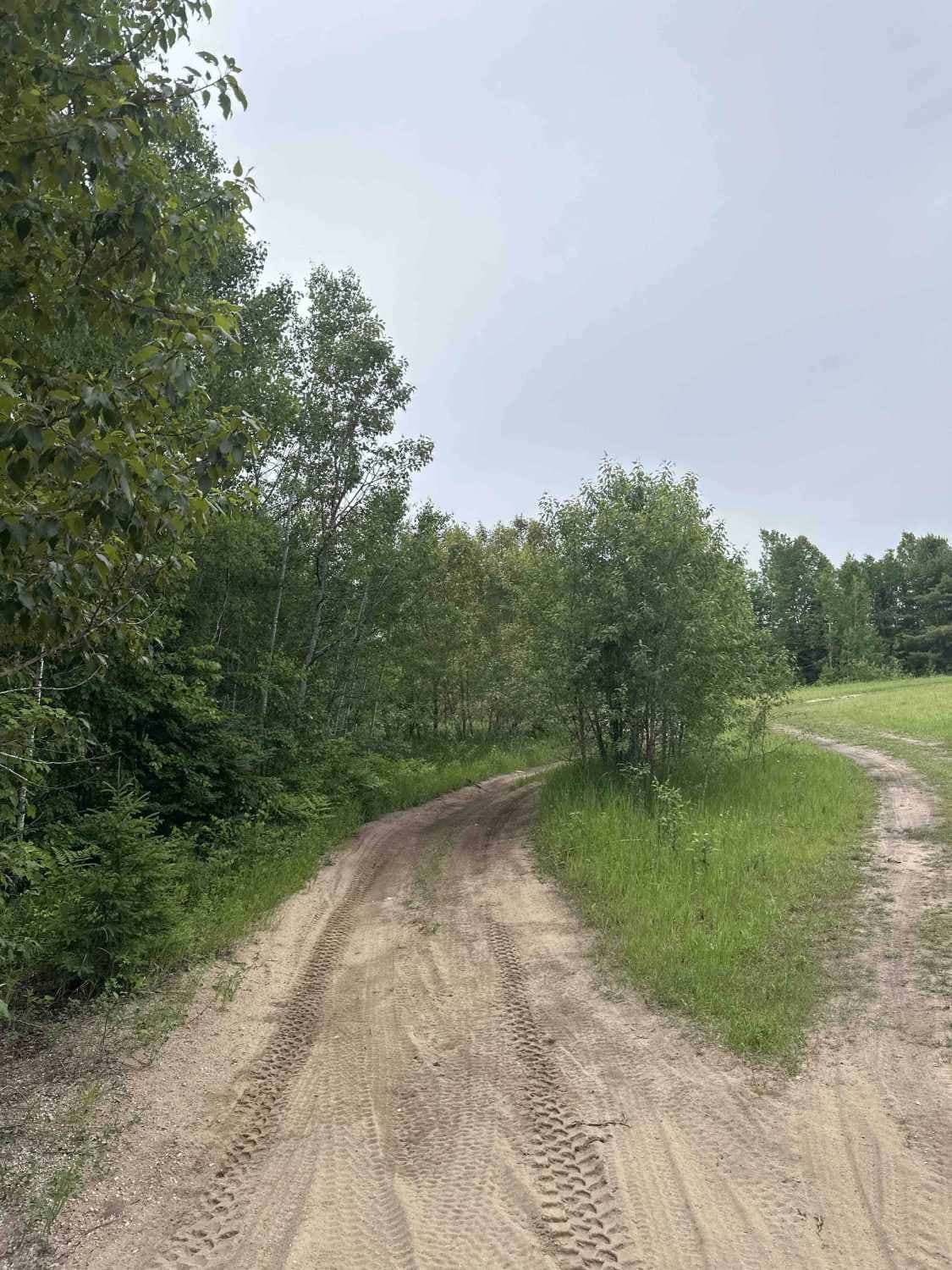 Trout Lake Spur