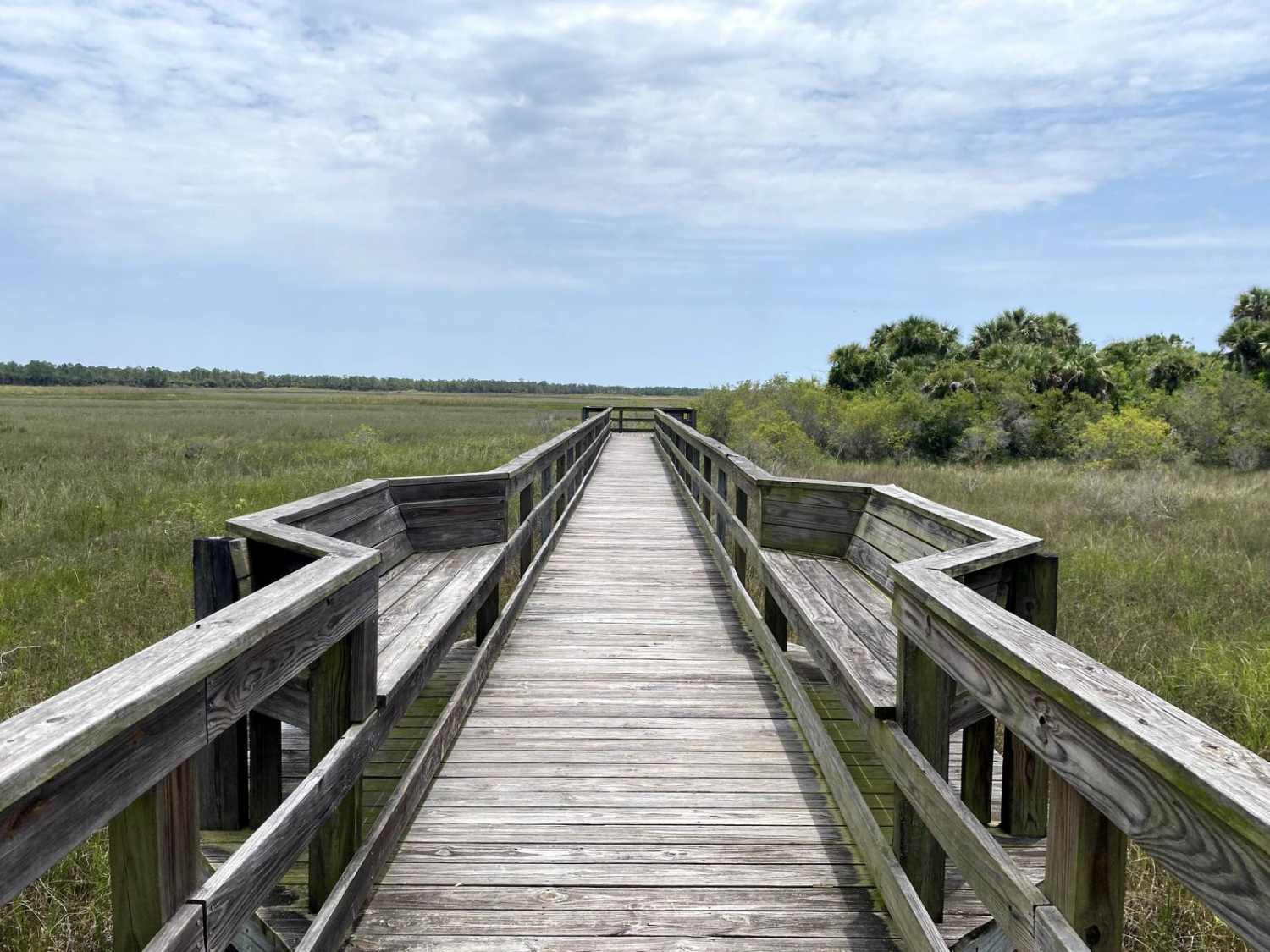 Okaloacoochee Slough 