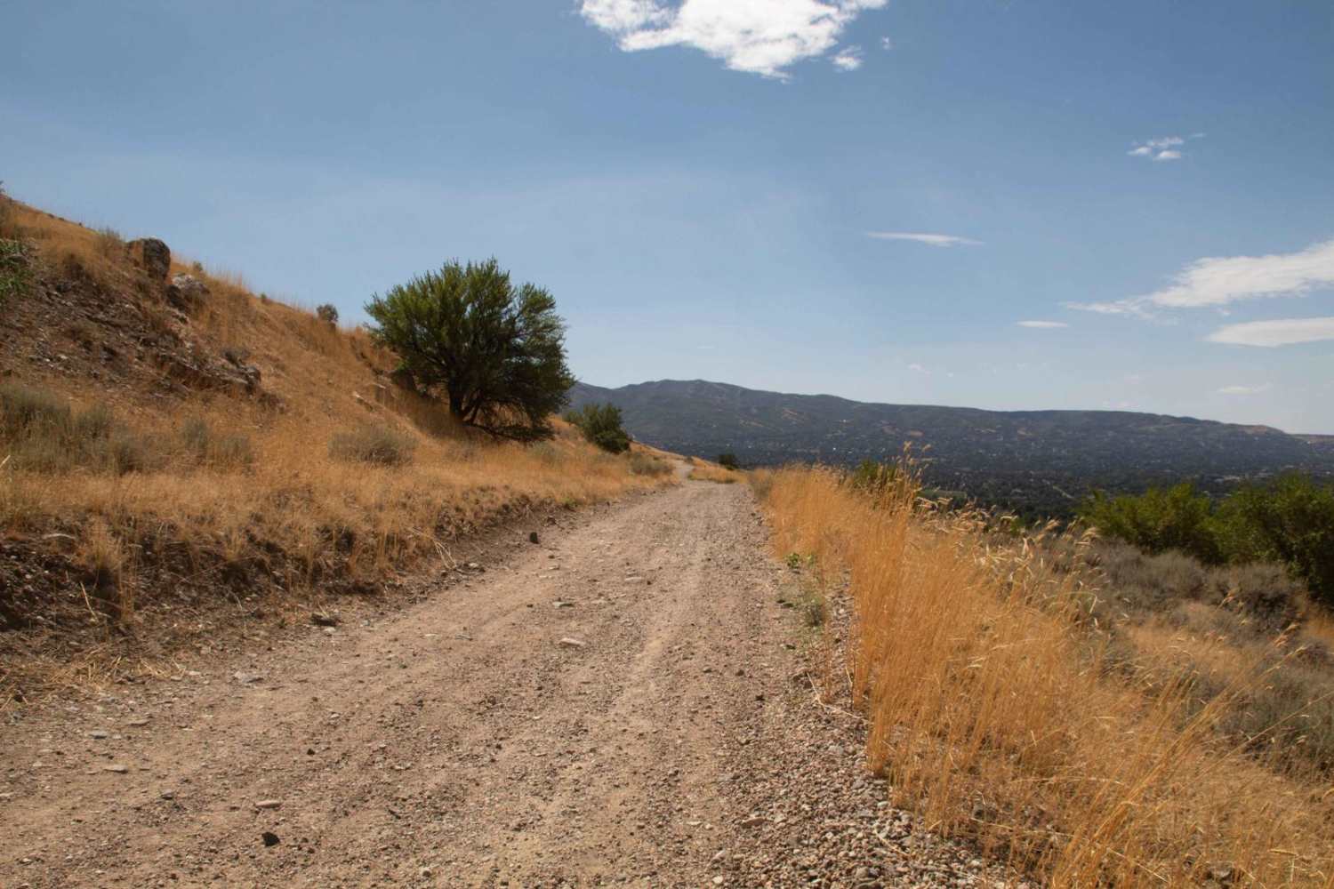 Centerville Firebreak Road