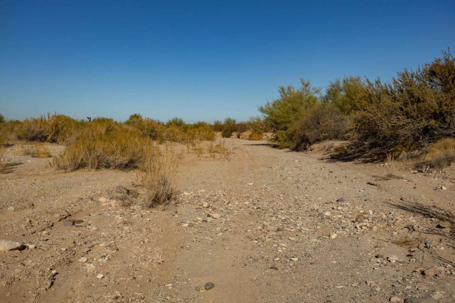 Middle Jackrabbit Wash