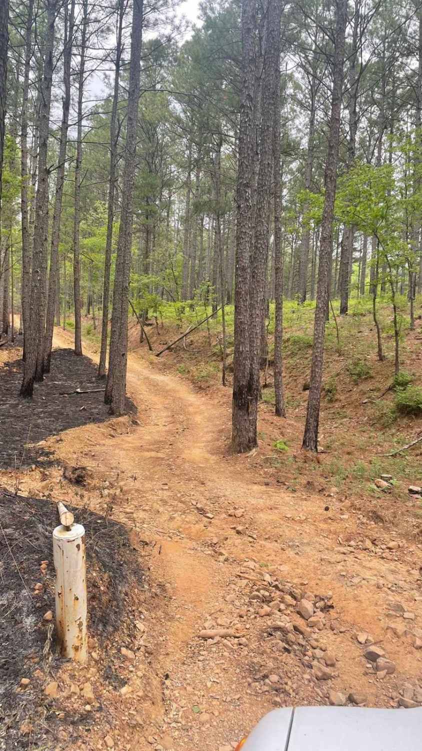 Hickory Nut Trail