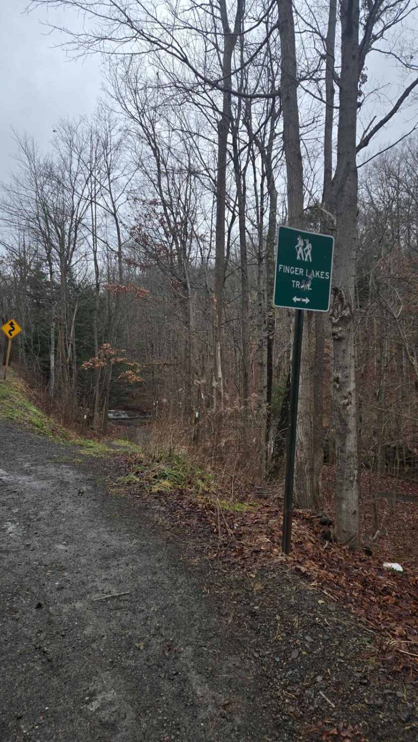 Templar Falls - Sugar Hill Road