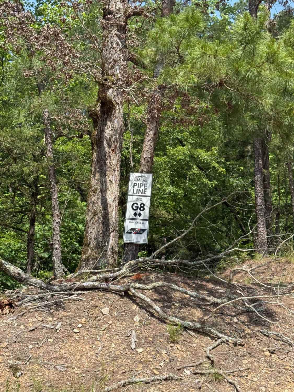G8/G9 Pipeline