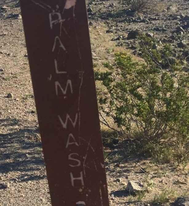 Palm Wash