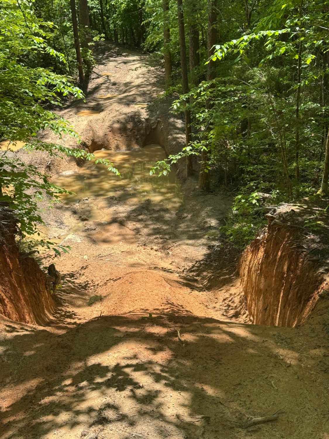 That Dam Trail