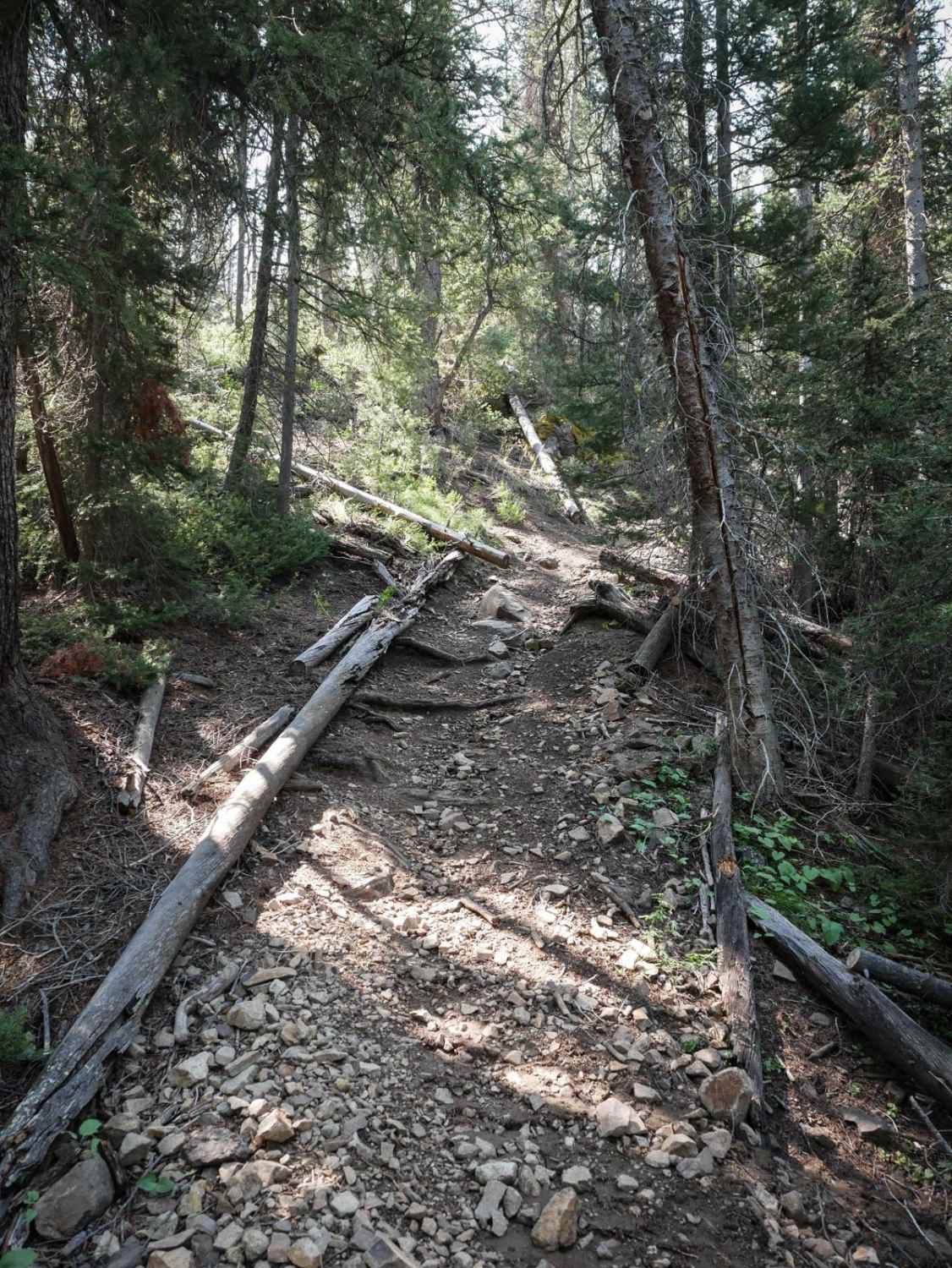 Buster Lake ATV 
